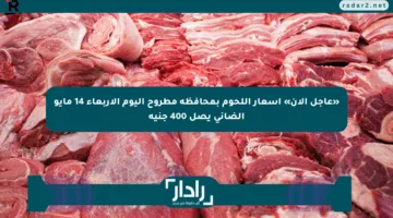 «عاجل الآن» أسعار اللحوم بمحافظة مطروح اليوم الأربعاء 14 مايو الضاني يصل 400 جنيه